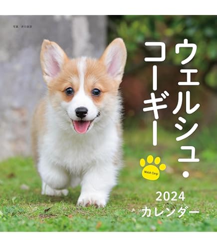 Amazon | アートプリントジャパン 2024年 コーギー川柳(週めくり